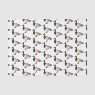 Papel De Seda Ilustração de desenho animado de pato-reais