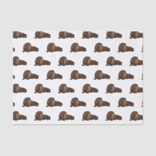 Papel De Seda Ilustração de desenho animado de Walrus