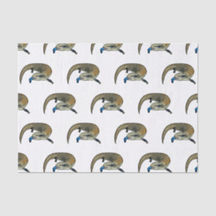 Papel De Seda Ilustração de desenho em tons azuis