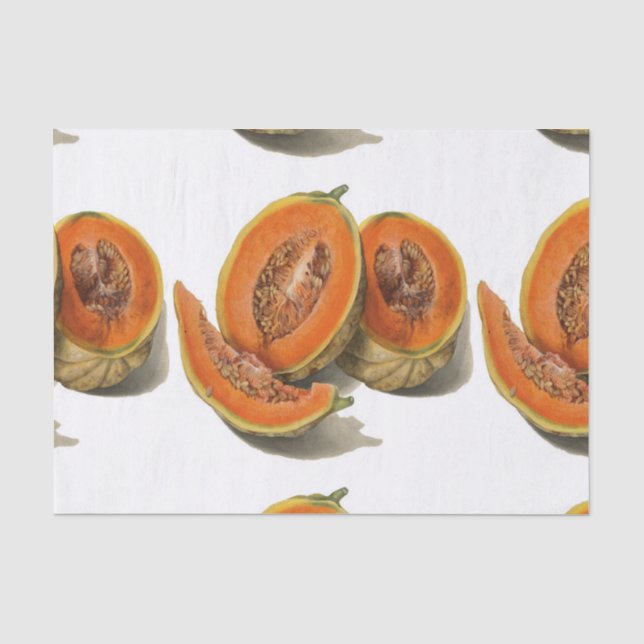 Papel De Seda Ilustração de melão cantaloupe fatiada (Frente )
