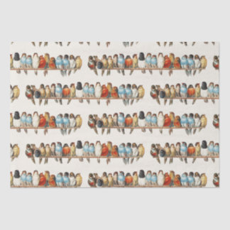 Papel De Seda Ilustração de "Perch of Birds Vintage Finch", 1880