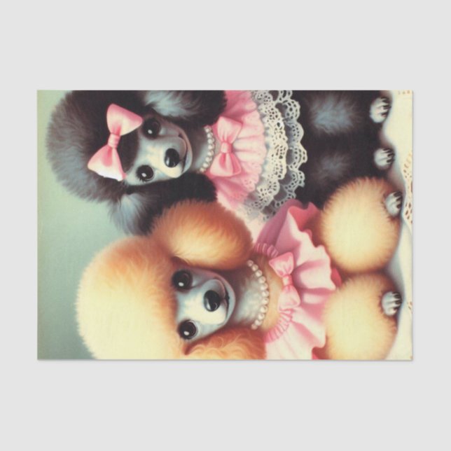 Papel De Seda Ilustração de Poodle em Cute (Frente )