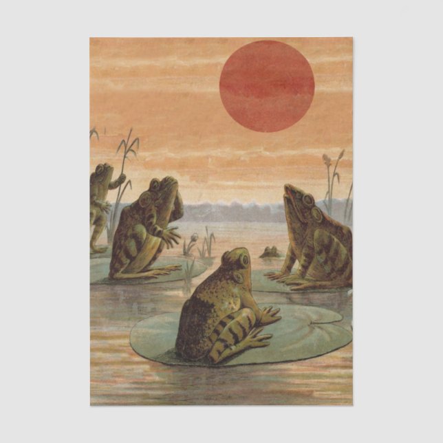 Papel De Seda Ilustração de Rãs Almofadas de Lírio Lua (Frente )