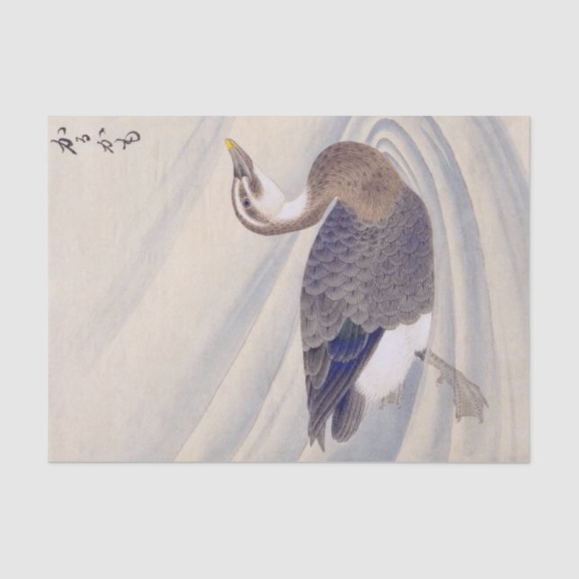 Papel De Seda Ilustração de safra: pato de bico pontual (Frente )