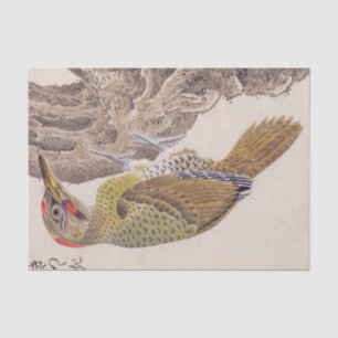 Papel De Seda Ilustração de safra: Pica-pau