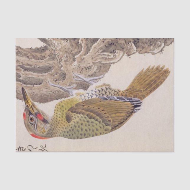 Papel De Seda Ilustração de safra: Pica-pau (Frente )