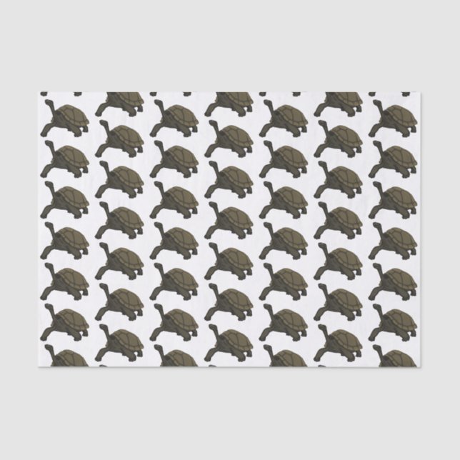 Papel De Seda Ilustração de tartaruga terrestre das Galápagos (Frente )