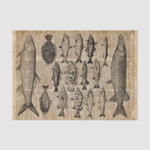 Papel De Seda Ilustração do vintage dos peixes sobre a página