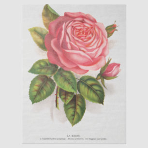Papel De Seda Ilustração Floral Rosa Antiga Cottagecore