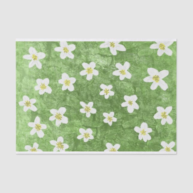 Papel De Seda Ilustração Moisés Verde e Daisy (Frente )