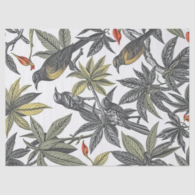 Papel De Seda Ilustração Negrito de Aves Tropicais (Frente )