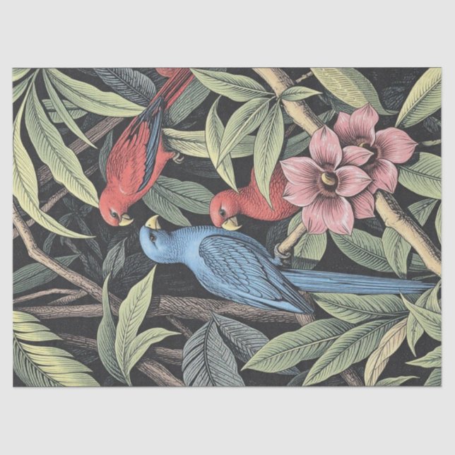 Papel De Seda Ilustração Negrito de Aves Tropicais (Frente )