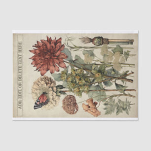 Papel De Seda Ilustrações da Flor Botânica no Pergaminho n.o 5