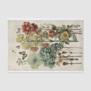 Papel De Seda Ilustrações da Flor Botânica no Pergaminho n.o 6