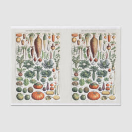 Papel De Seda Ilustrações de Millot, Hortaliças de Jardim, Desli