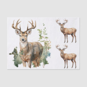 Papel De Seda Ilustrações em estilo aquarela - 3 cervos machos