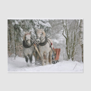 Papel De Seda Imagem de cor da pista de inverno