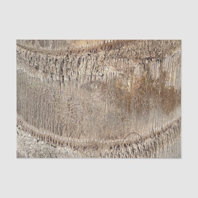 Papel De Seda Imagem de Foto de Fechamento de Textura de Tronco  (Frente )