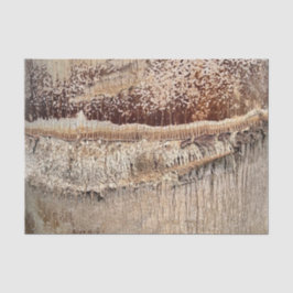 Papel De Seda Imagem de Foto de Fechamento de Textura de Tronco 