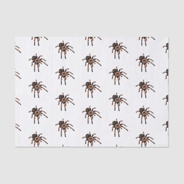 Papel De Seda Imagem do desenho de Tarantula (Frente )