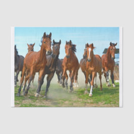 Papel De Seda Imagem original (não AI) de cavalos galopantes cor