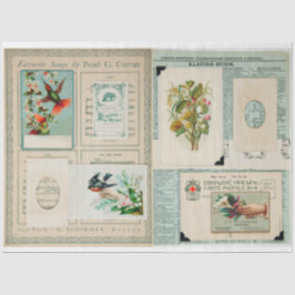 Papel De Seda Imagens do Vintage Edwardian