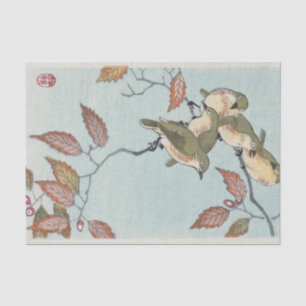 Papel De Seda IMPRESSÃO ORIENTAL dos PÁSSAROS no lenço de pap