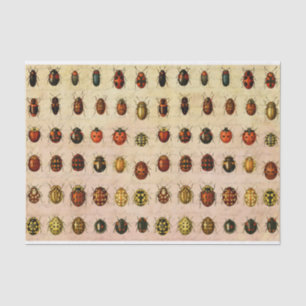 Papel De Seda Inseto do Inseto Ladybug Ladybird Beetle