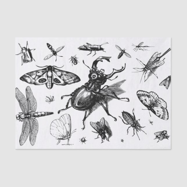 Papel De Seda Insetos em branco e Cinza (Frente )