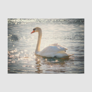 Papel De Seda Inspirações da Natureza Cisne Elegante