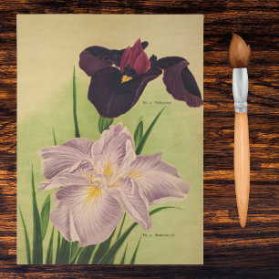 Papel De Seda Íris Aquática Japonesa Catálogo Botânico Vintage