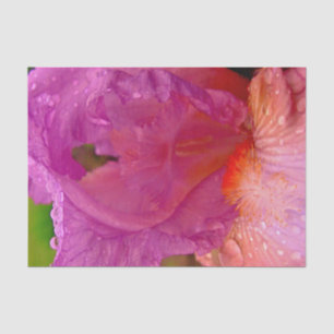 Papel De Seda Iris Beauty Wrapping Paper