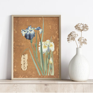 Papel De Seda Iris Floral Iris Branco Azul Japonês Descotação