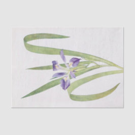 Papel De Seda Iris Foliosa por William Dykes