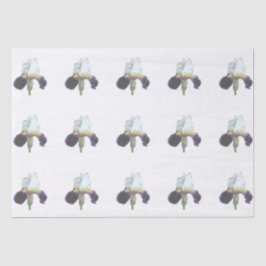 Papel de Seda Íris Roxo e Branco