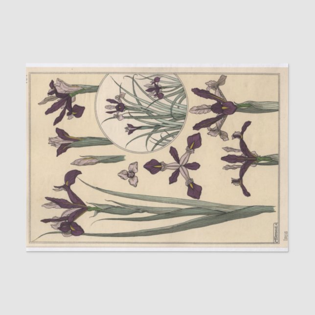 Papel De Seda Íris, Série de Botânica de Eugene Grasset (Frente )