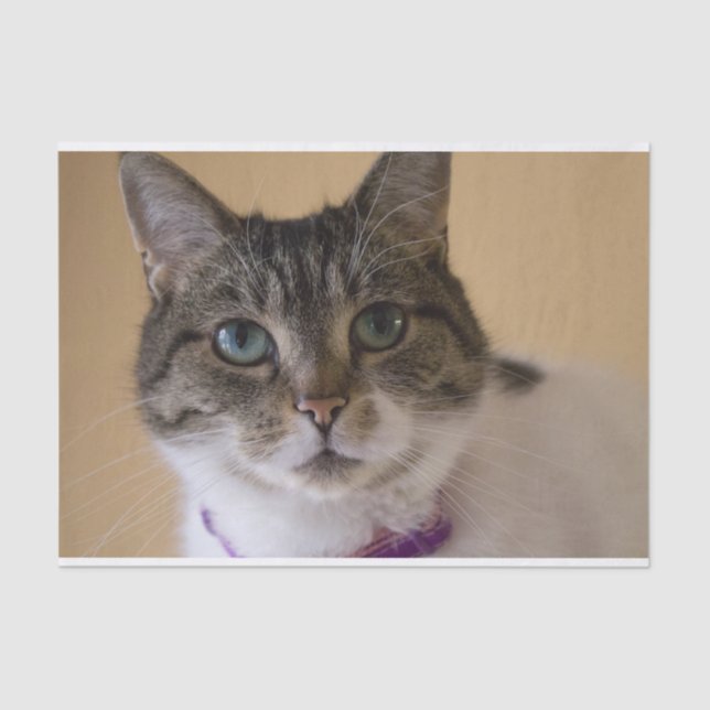 Papel De Seda Ivey (Frente )