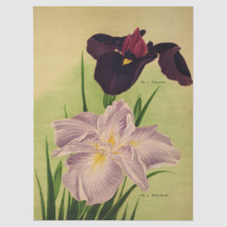 Papel De Seda Japanese Water Iris Vintage Botanical Catalog