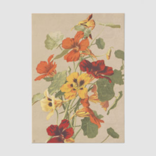 Papel De Seda Jardim Botânico Floral de Nastúrcio Vintage Arte