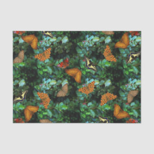 Papel De Seda Jardim da borboleta