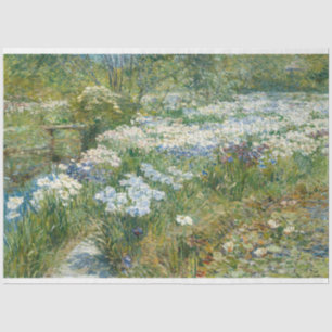 Papel De Seda Jardim d'água (por Childe Hassam)