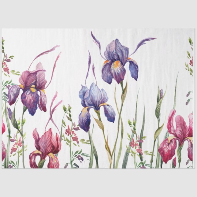 Papel De Seda Jardim de Aquarelas de Iris Rosa Púrpura Azul (Frente )