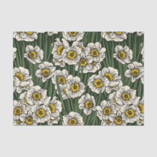 Papel De Seda Jardim de Daffodil