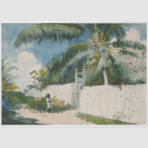 Jardim de Nassau (capital das Bahamas)