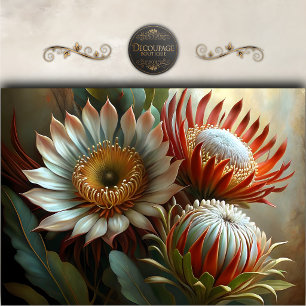 Papel De Seda Jardim Exótico de Protea Decoupage