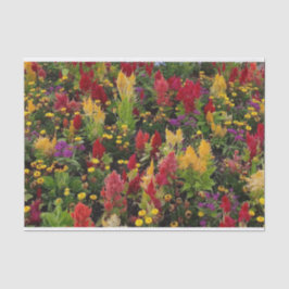 Papel De Seda Jardim Flor de Verão Vibrante em Orlando Florida