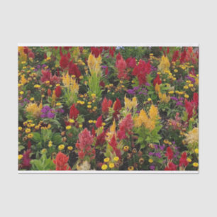 Papel De Seda Jardim vibrante do verão em Orlando Florida