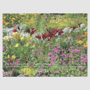 Papel De Seda Jardins de Verão Coloridos Médios!