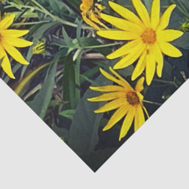 Papel De Seda Jerusalem Artichoke (Detalhes)