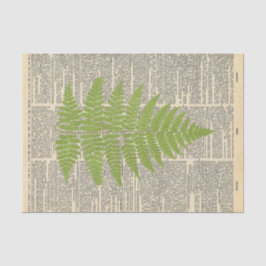 Papel De Seda Jornal Vintage com a dissociação de folha verde